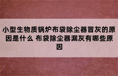 小型生物质锅炉布袋除尘器冒灰的原因是什么 布袋除尘器漏灰有哪些原因